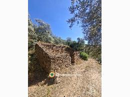 17 has olivar, sierra y vivienda. Las Na