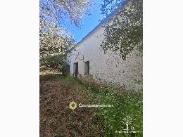 17 has olivar, sierra y vivienda. Las Na