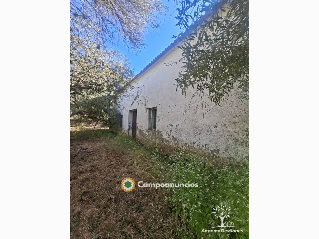 17 has olivar, vivienda, sierra, pozo en Sevilla