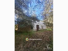 17 has olivar, vivienda, sierra, pozo