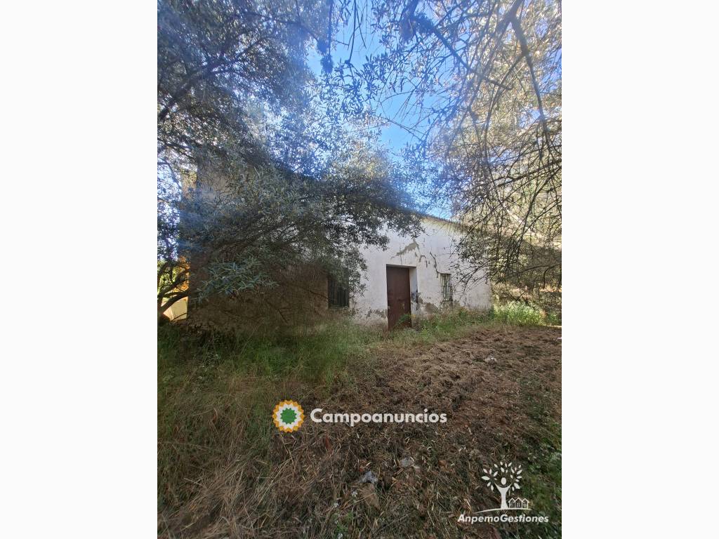 17 has olivar, vivienda, sierra, pozo en Sevilla