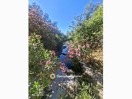 17 has olivar, vivienda, sierra, pozo