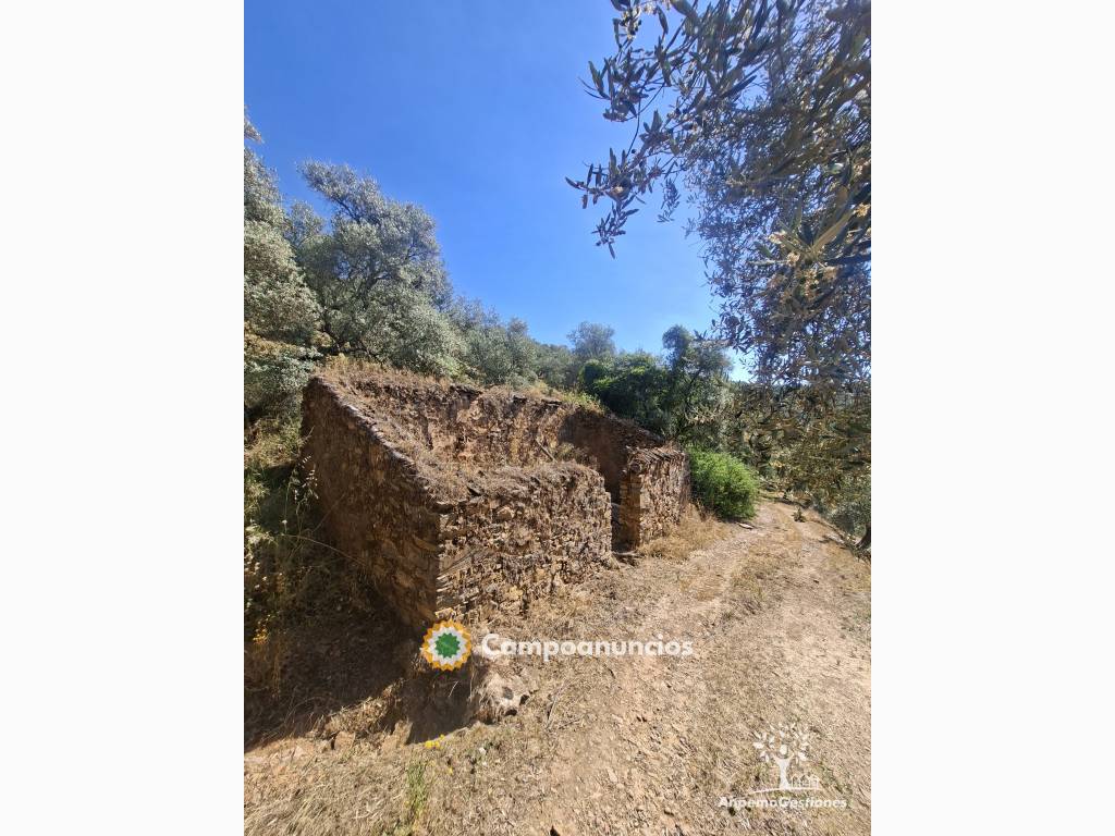 17 has olivar, vivienda, sierra, pozo en Sevilla