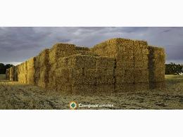 2 semirremolques para heno de pradera