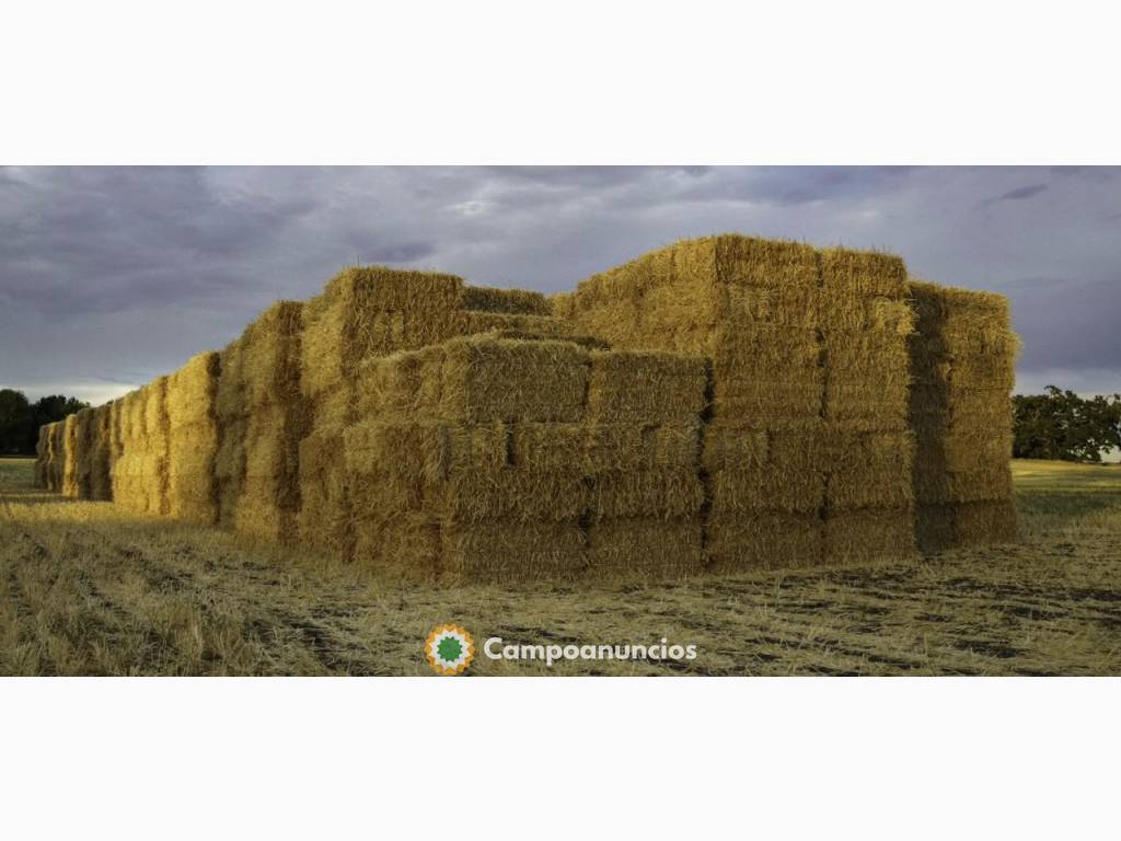 2 semirremolques para heno de pradera