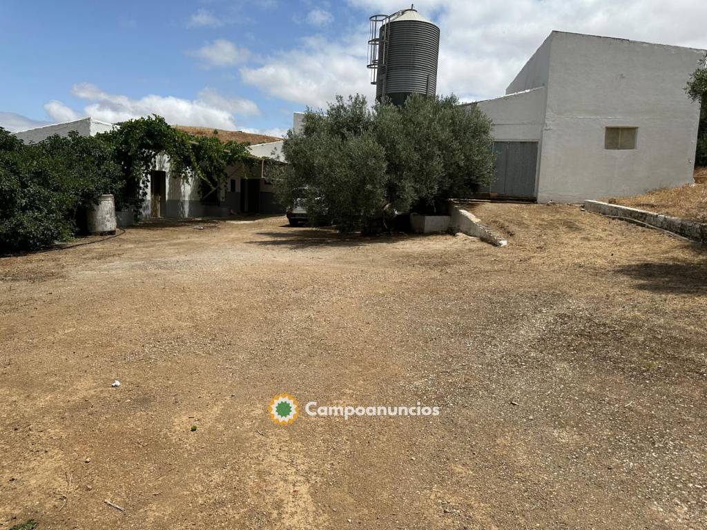 Alquiler granja cerdos con licencia en Málaga