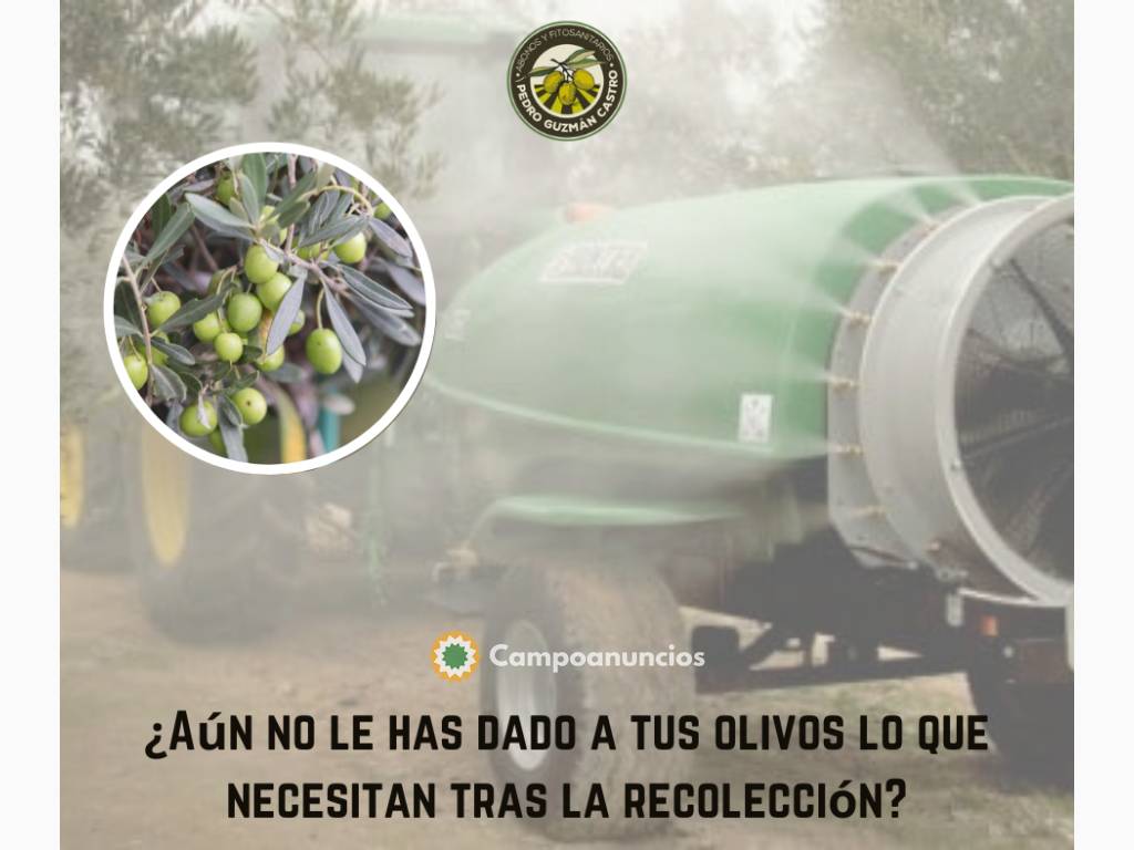 Aportes nutricionales olivar  en Jaén