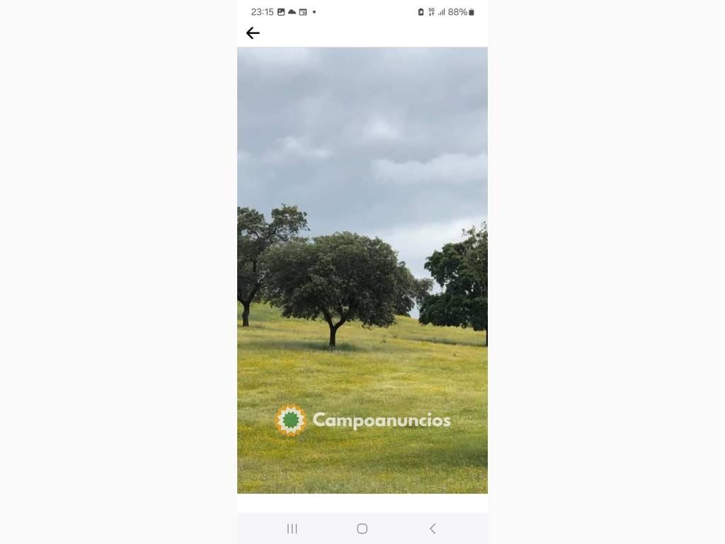 Dehesa ganadera  en Córdoba