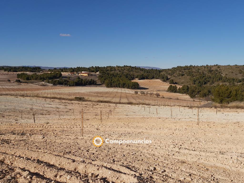 Estudios Agronomicos nuevos cultivos en Albacete
