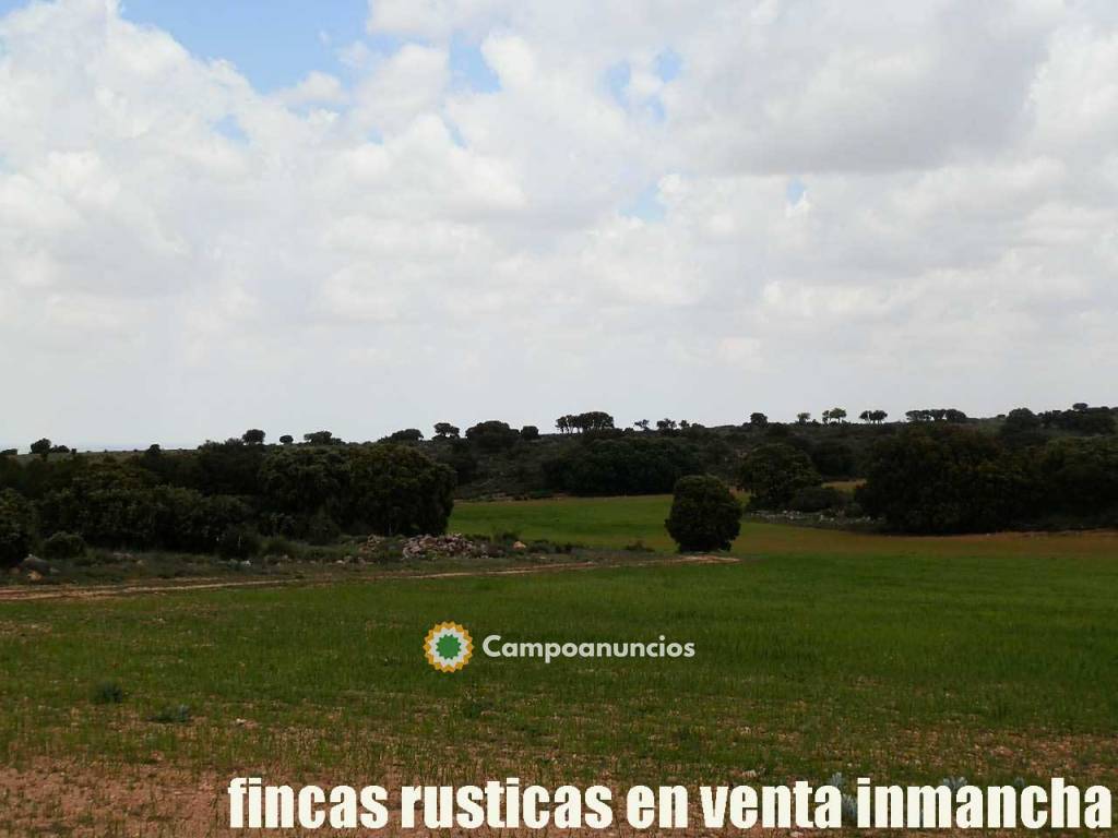 Finca en venta 186 has. labor caza menor en Ciudad Real