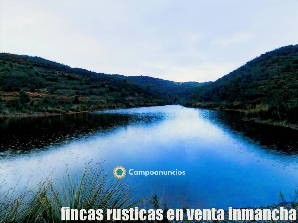 finca en venta 216 Has. Recreo Ganadera  en Huelva