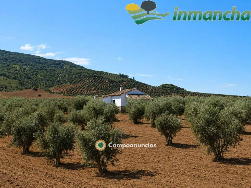 finca en venta 28 has. Olivar riego  en Albacete