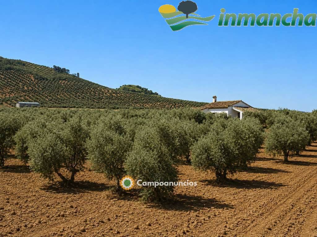 finca en venta 28 has. Olivar riego  en Albacete