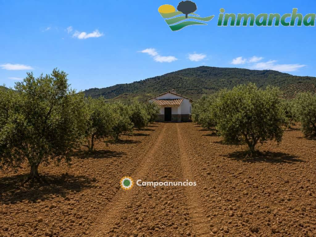finca en venta 28 has. Olivar riego  en Albacete