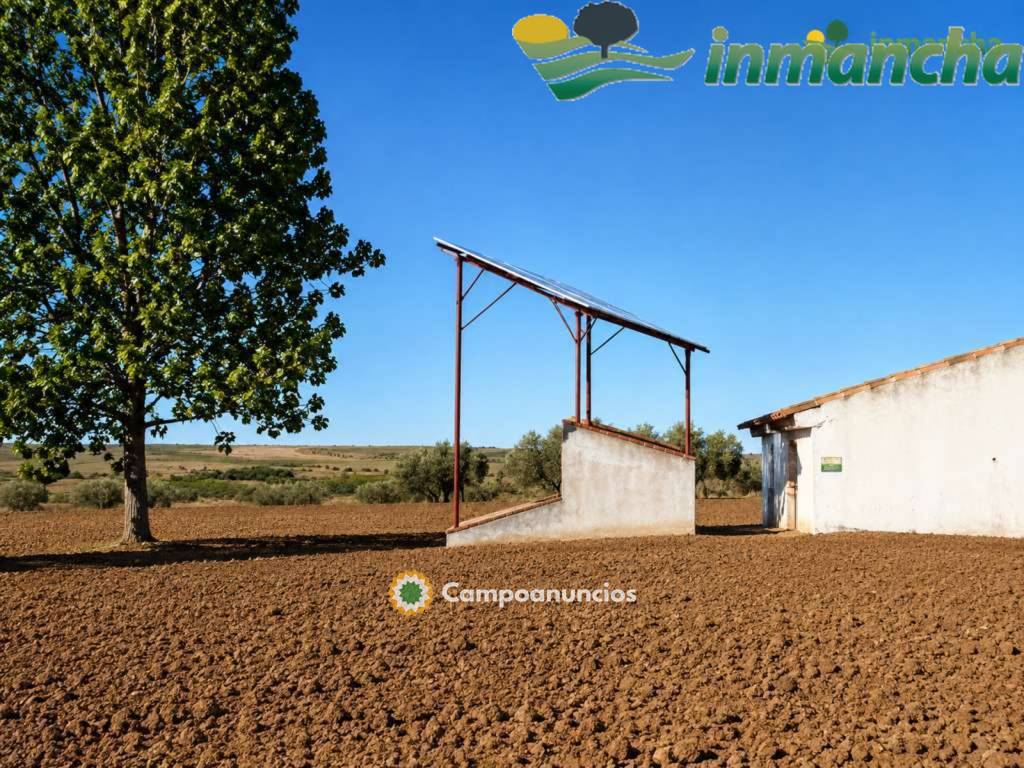 finca en venta 28 has. Olivar riego  en Albacete