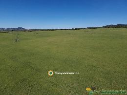 finca en venta 544 has. labor-viña-caza 