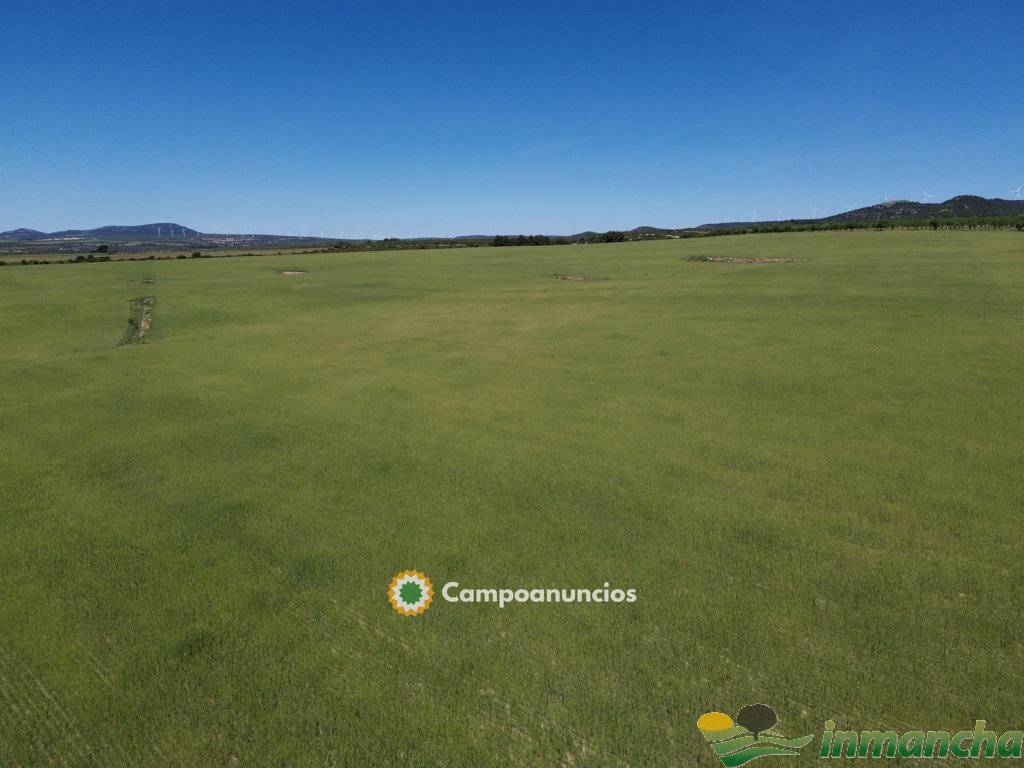 finca en venta 544 has. labor-viña-caza 