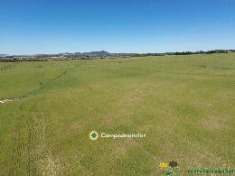 finca en venta 544 has. labor-viña-caza 