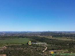 finca en venta 544 has. labor-viña-caza 