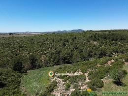 finca en venta 544 has. labor-viña-caza 