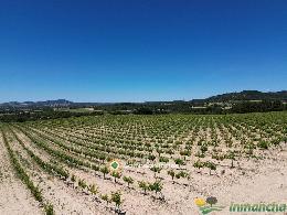 finca en venta 544 has. labor-viña-caza 