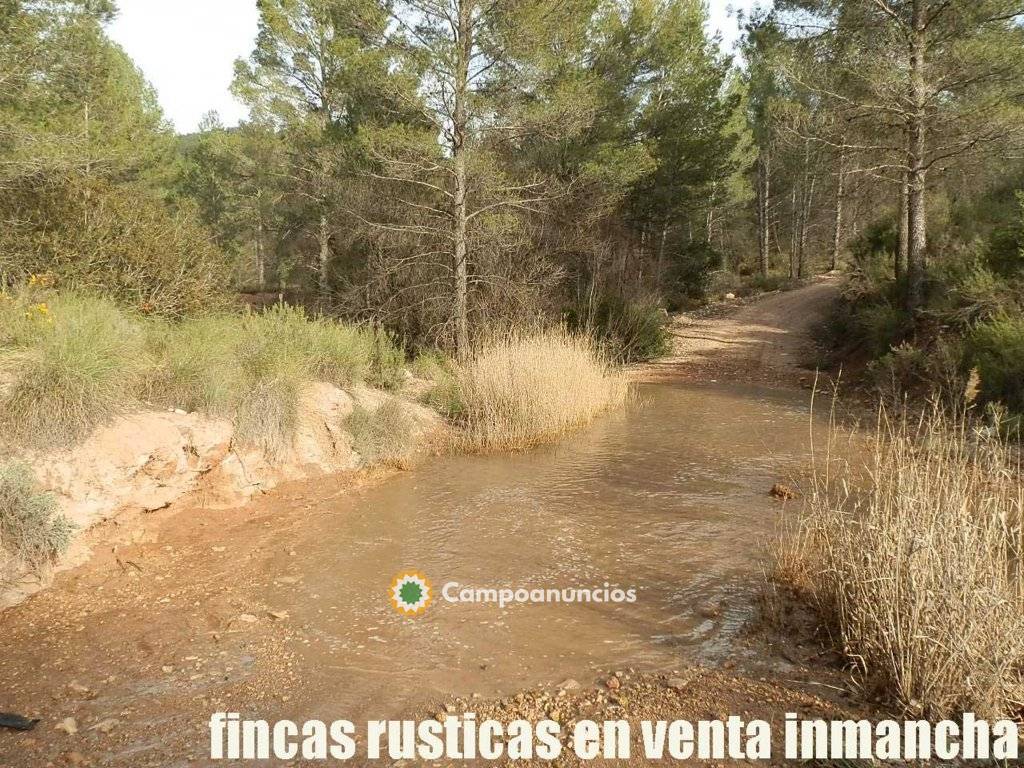 finca en venta inmancha monte pinar caza en Albacete