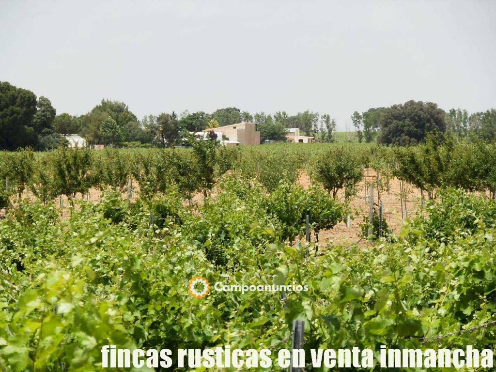finca en venta inmancha viña espaldera en Albacete