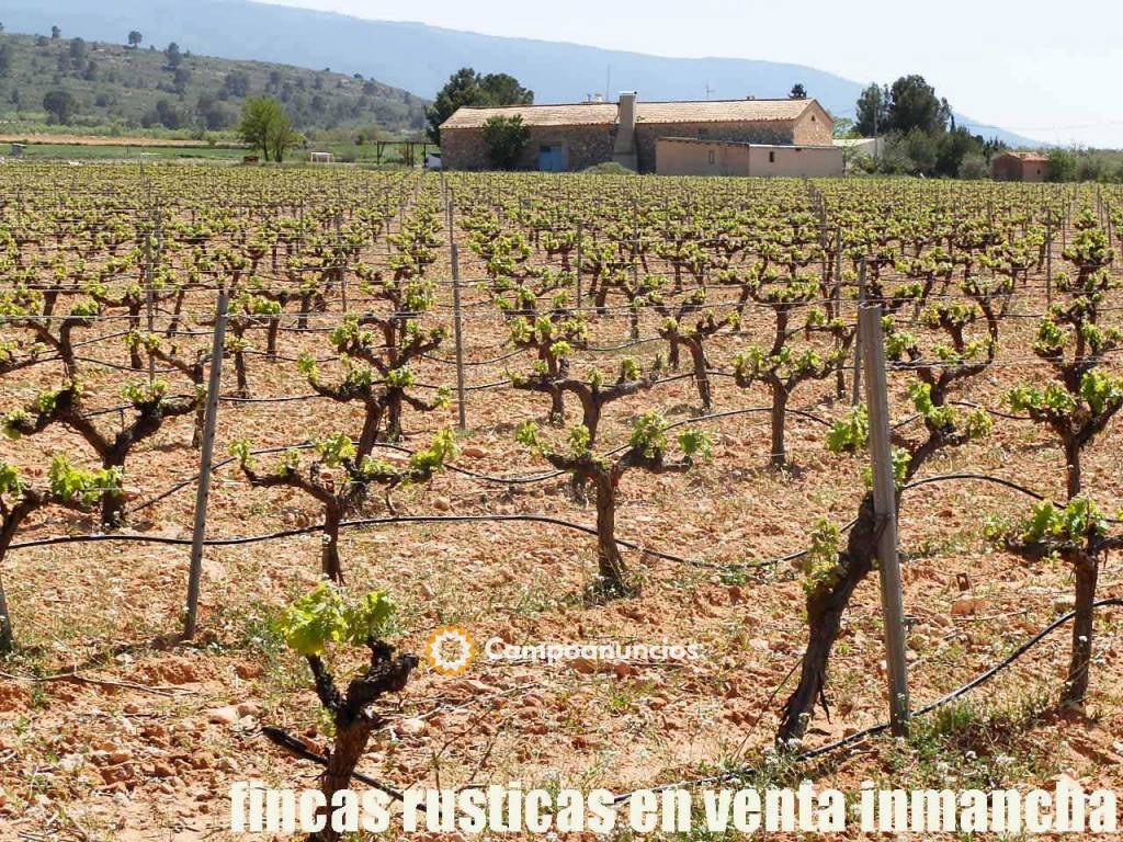 Finca en venta viña espaldera riego  en Murcia