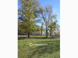 Finca Ganad.y Agric. Riego en Argentina
