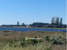 Finca Ganad.y Agric. Riego en Argentina