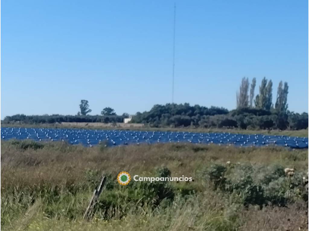 Finca Ganad.y Agric. Riego en Argentina en Málaga
