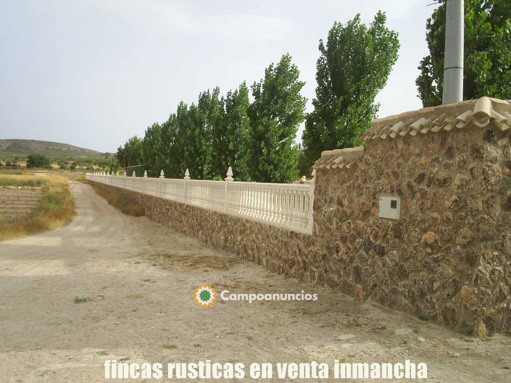 Finca para la cría de Caballos en Yecla en Murcia