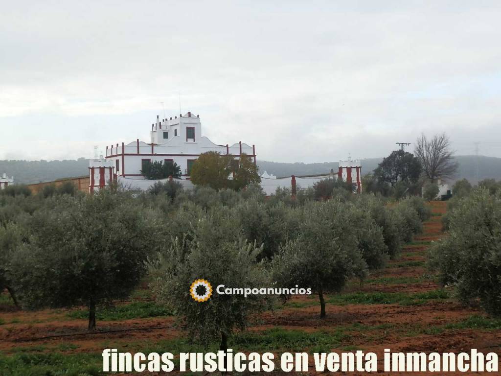 Finca rustica en venta olivar riego casa en Ciudad Real