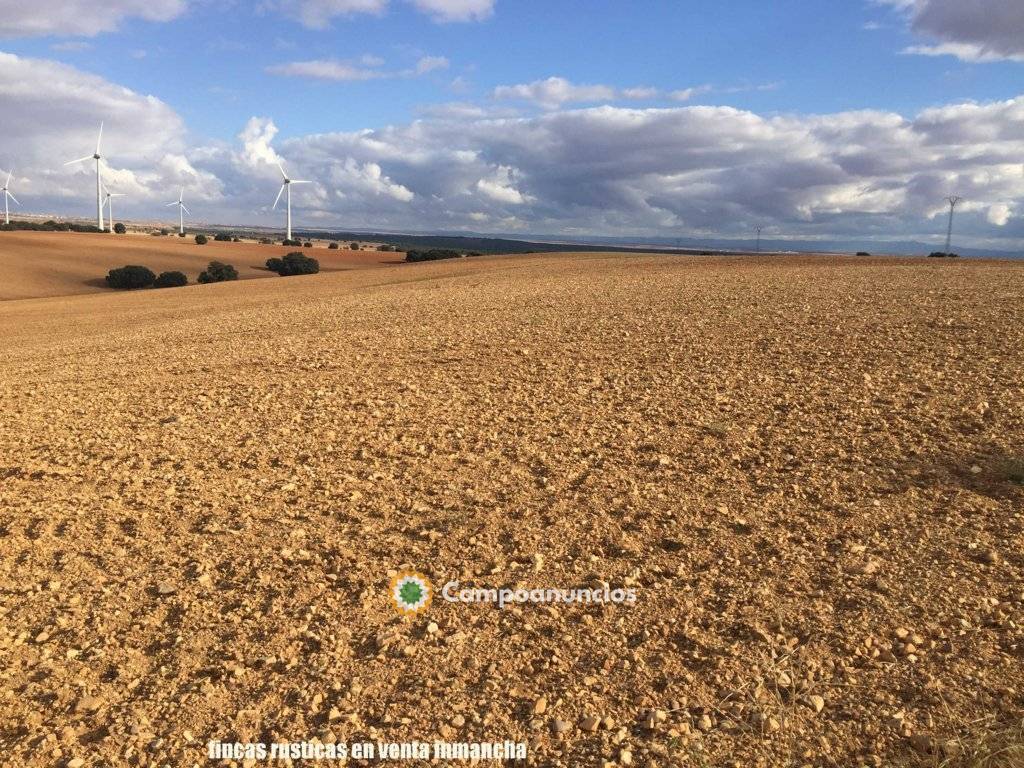 finca venta 1309 has. labor caza menor en Albacete