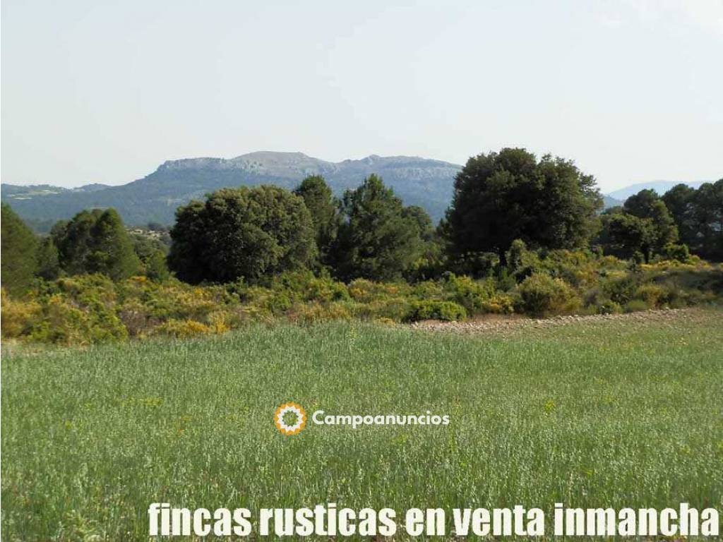 Finca venta inmancha labor monte pastos en Albacete
