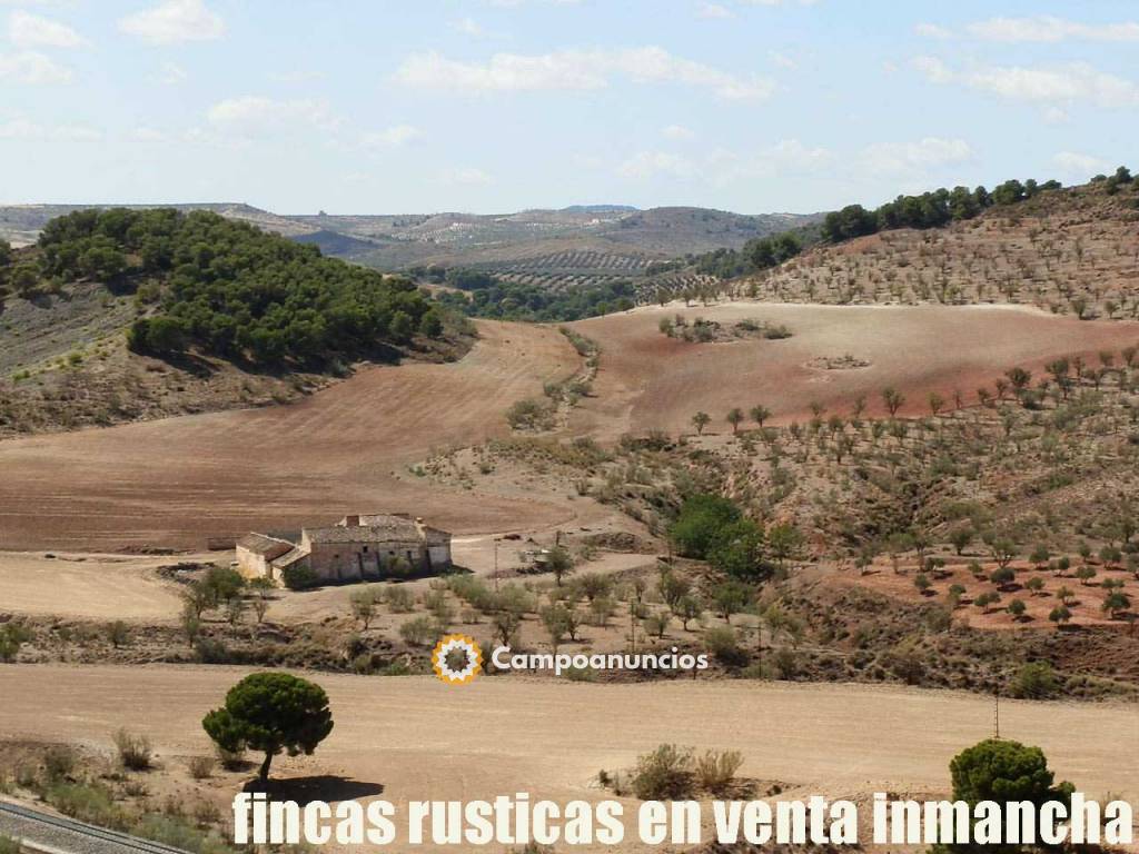 finca venta inmancha labor olivar pastos en Jaén