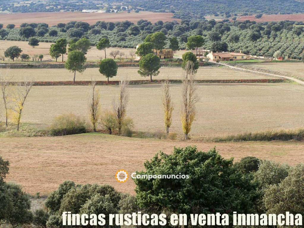 finca venta inmancha labor riego pastos en Albacete