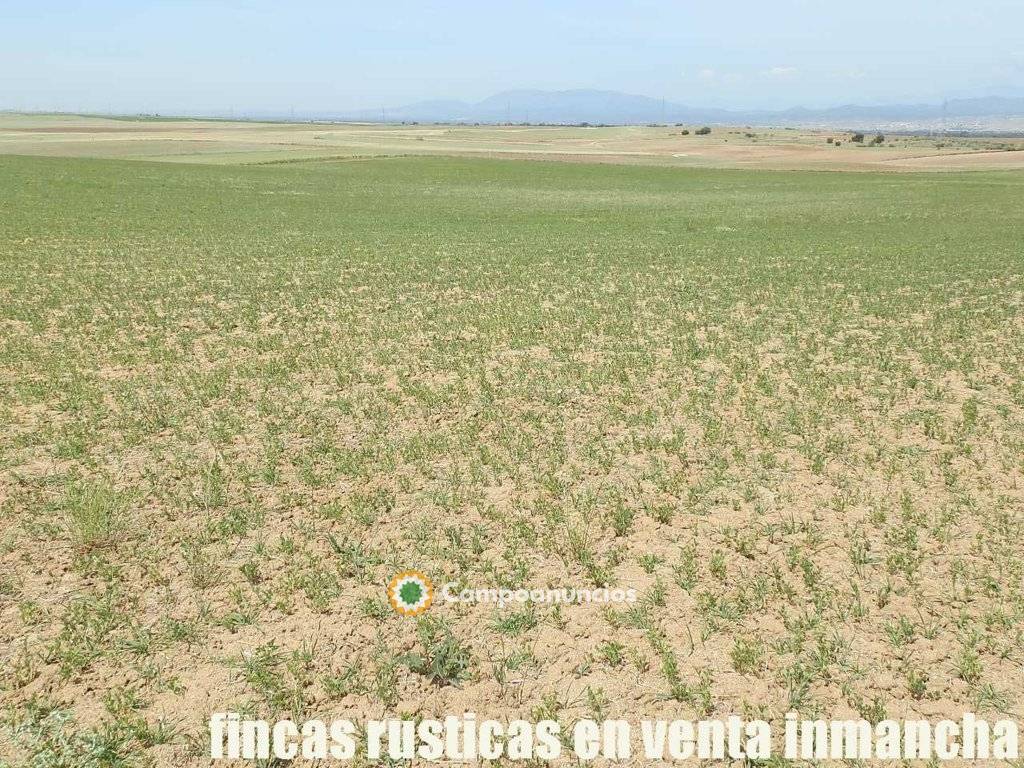 fincas inmancha 20 has. labor secano en Toledo