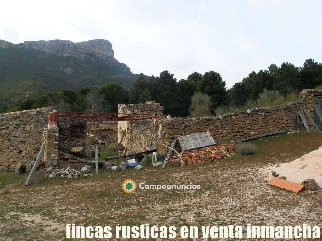 fincas inmancha 23 has. recreo Albacete en Albacete