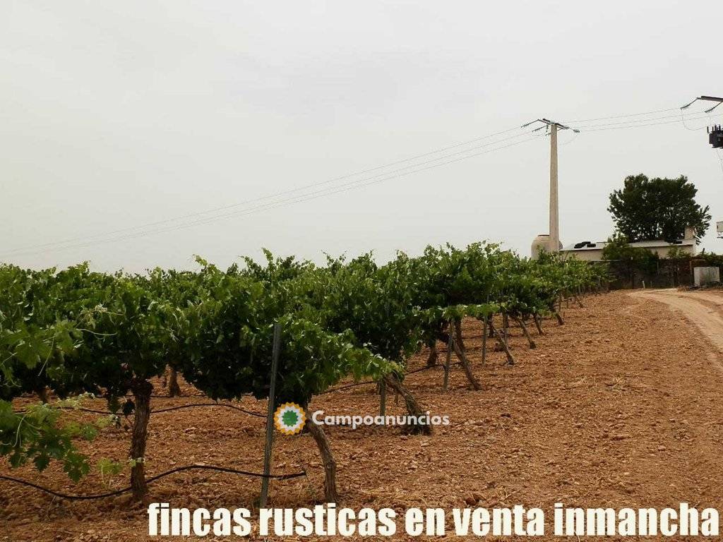 Fincas Inmancha 24 has. de viña regadío  en Ciudad Real