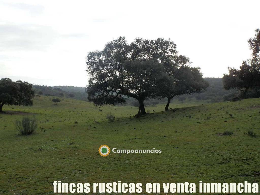 fincas inmancha 550 has. ganadera caza  en Jaén