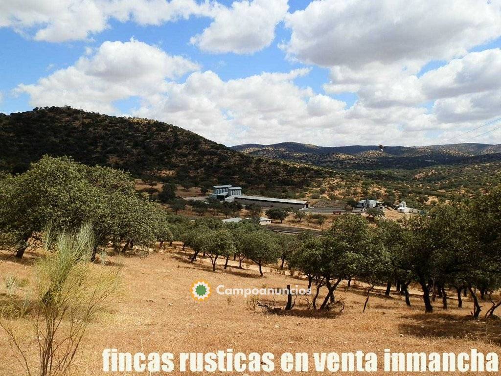 Fincas Inmancha 843 has. ganadera caza en Córdoba