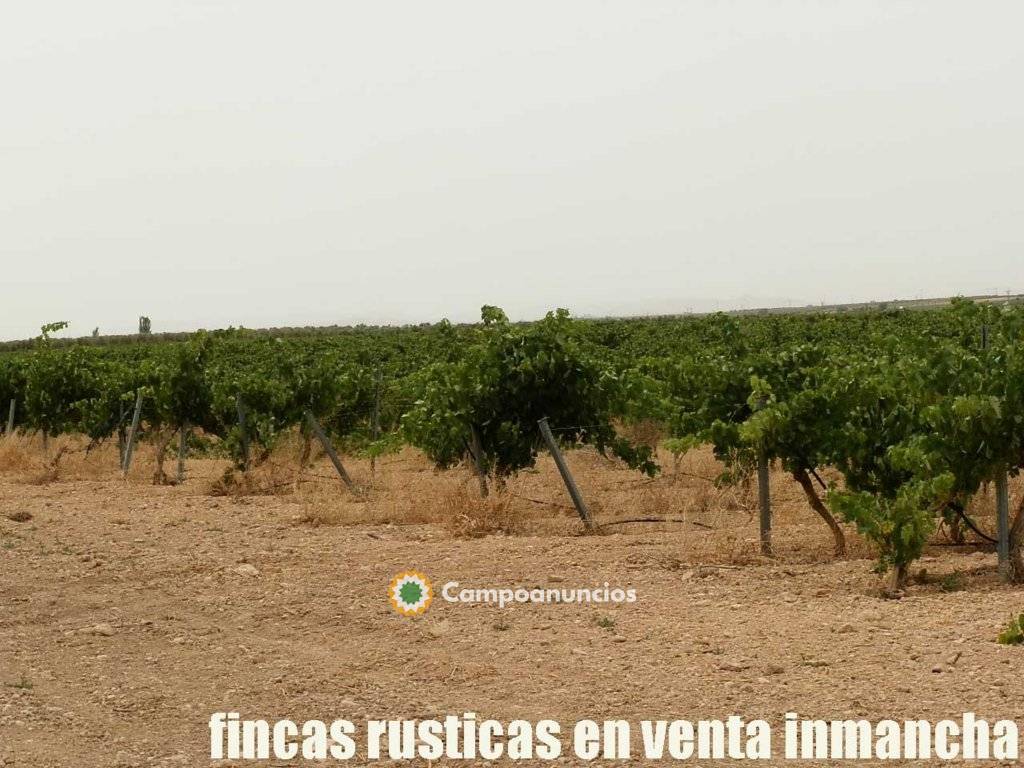 fincas Inmancha olivar y tierra labor en Ciudad Real