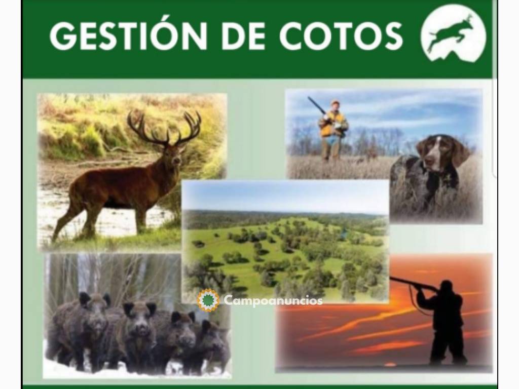 Gestión de cotos en Granada