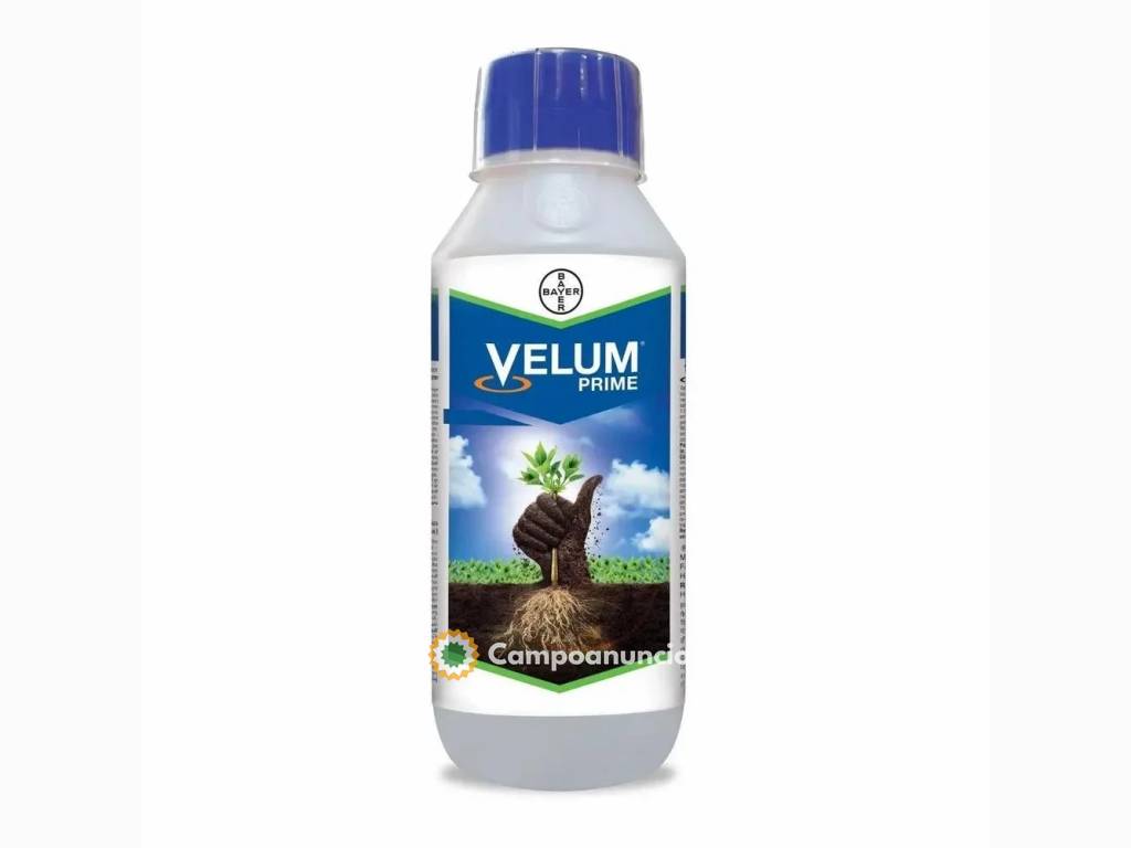 Liquid Velum Prime Bayer, Fluopyrum 34.4 en Zamora