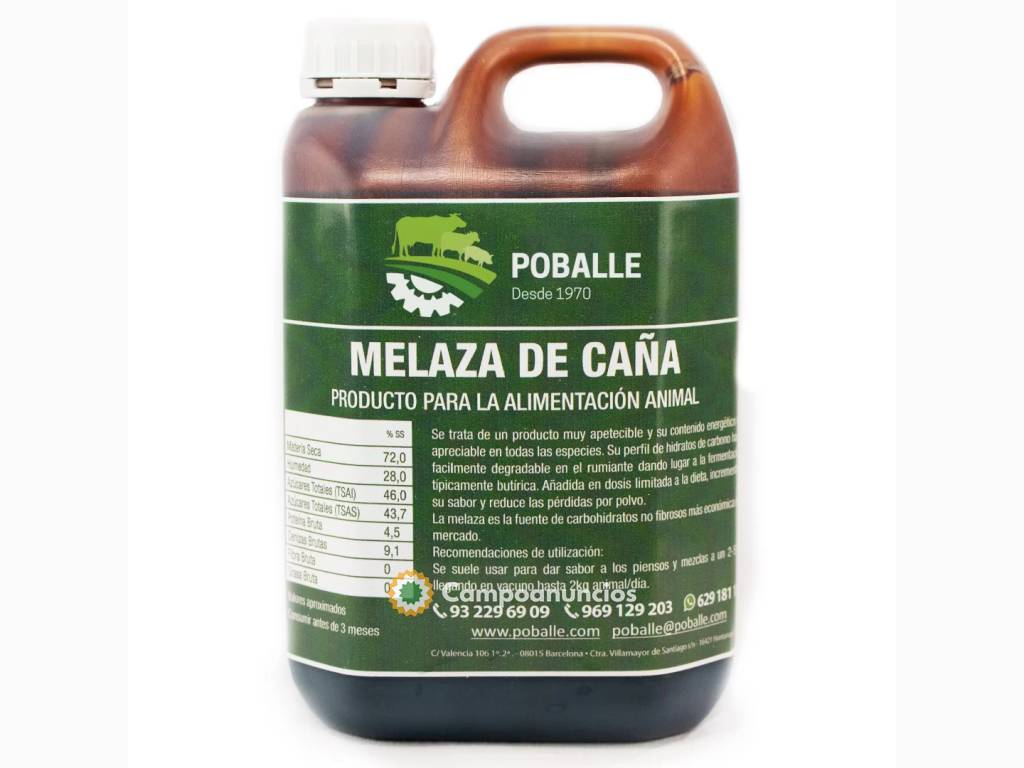 Melaza de Caña Garrafa 2,5KG en Barcelona