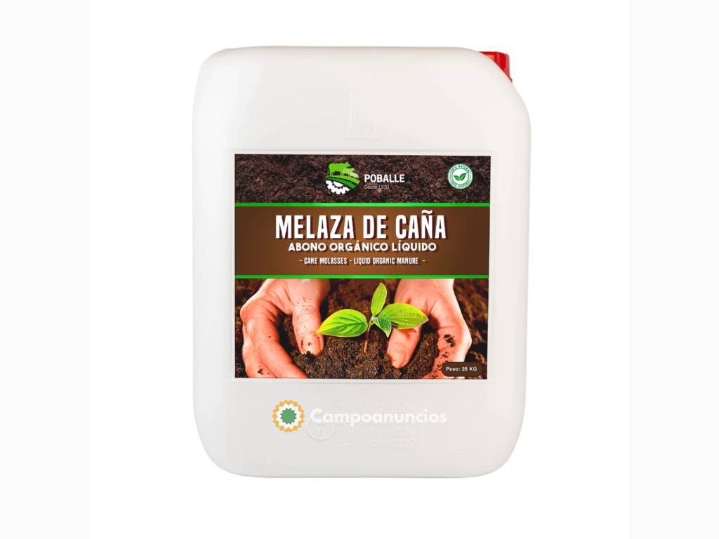 Melaza de Caña Garrafa 28KG en Barcelona