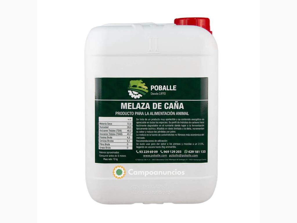 MELAZA DE CAÑA GARRAFA DE 12KG en Cuenca