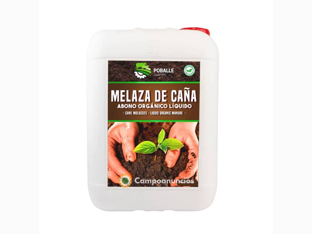 Melaza de Caña Garrafa de 12KG en Barcelona