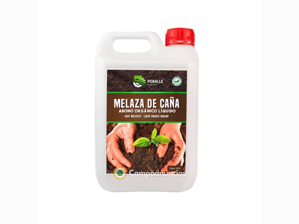 Melaza de Caña Garrafa de 6KG en Barcelona